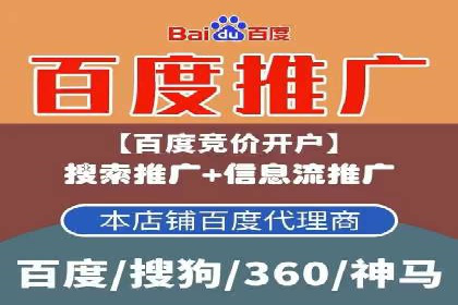 SEM广告投放案例：打造品牌影响力